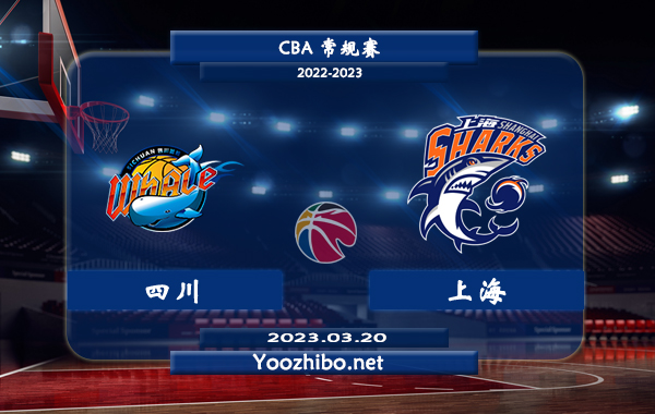 03月20日 CBA常规赛 四川vs上海直播前瞻分析