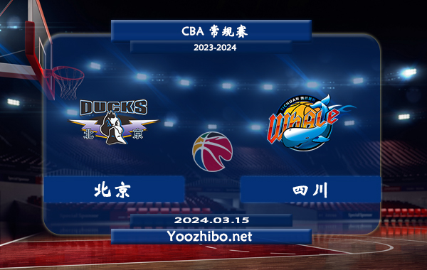 03月15日 CBA常规赛 北京vs四川直播前瞻分析